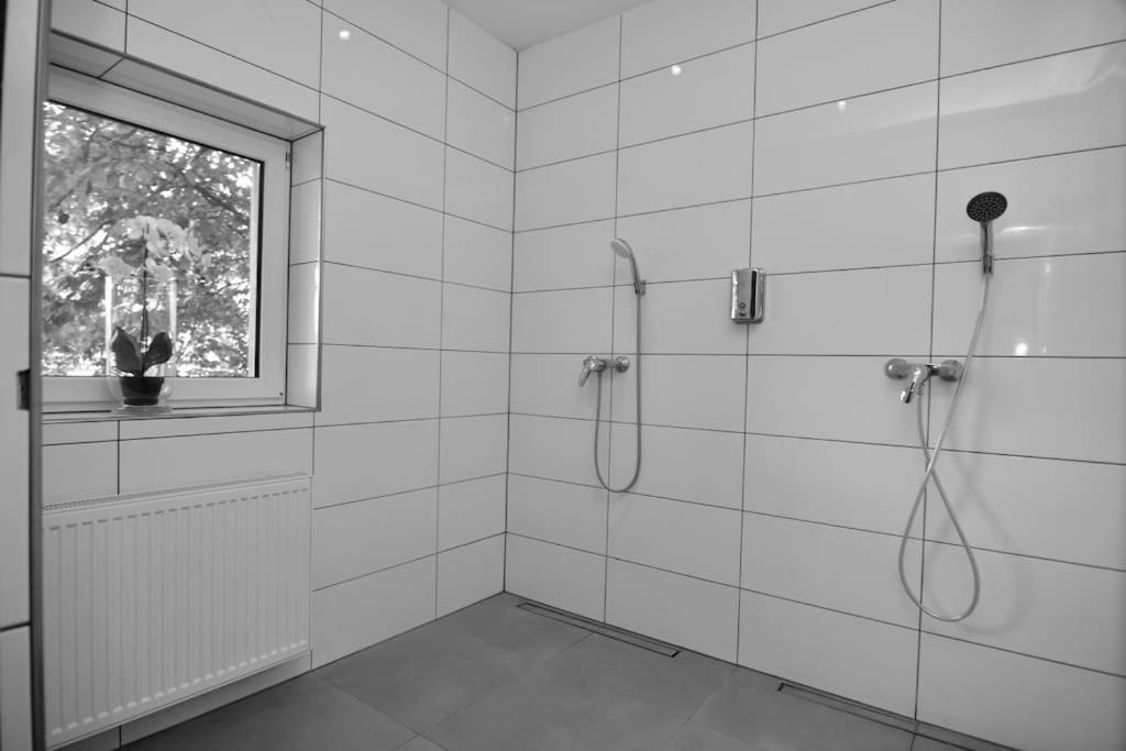 Fetischhaus Sm Apartment/Ferienwohnung Wiesbaden Buitenkant foto
